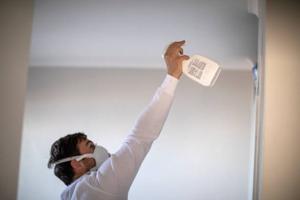 Best Attic Mold Remediation in Middletown, PA